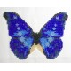 Borduurpakket vlinder blauw/bruin 11x16cm.