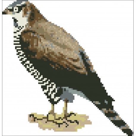 Borduurpakket Buizerd 21x21cm