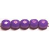 Facetkraal 4mm white full purple coated 50st.