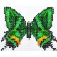 Vlinder multicolor 9x11 cm.