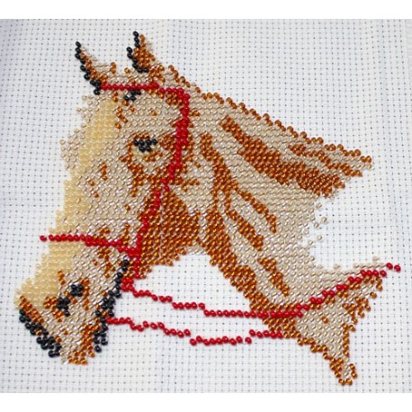 Borduurpakket paardenhoofd beige ca 15x15cm