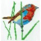 Borduurpakket vogel oranje/blauw/bruin 18x18cm.