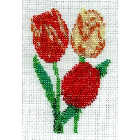 Borduurpakket Tulpen 10x15cm.