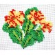 Borduurpakket primula oranje geel 8x10cm