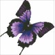 Borduurpakket vlinder zwart/paars/lila 25x25cm