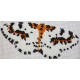 Borduurpakket vlinder 13x17cm wit/bruin