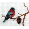 Borduurpakket roodborstje 11x14cm