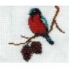 Borduurpakket roodborstje 11x14cm