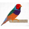 Borduurpakket Goulds Amadine 15x19cm