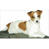 Borduurpakket hond Jelly 20x34cm.