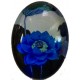 Camee ovaal 18x25mm zomerbloemen