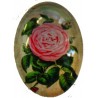 Cabochon ovaal 18x25mm zomerbloemen