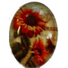 Cabochon ovaal 18x25mm zomerbloemen