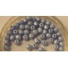 Facetkraal 3mm albast babyblue gecoat 50st.