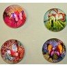 Cabochon 12mm rond vlinders mix 4st.