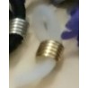 Brillenkoord schuifjes goudkl transparant 5pr.