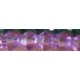 Facetkraal 3mm konisch transp. lila gecoat 50st.