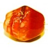 Glaskraal 15x12mm oranje gestreept 5st.