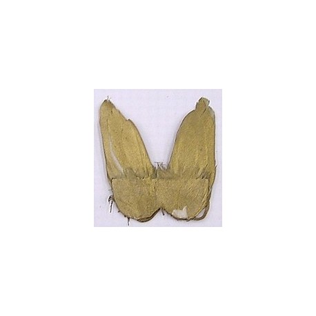 RAYHER bruine engelen vleugels van veren 5cm per 2