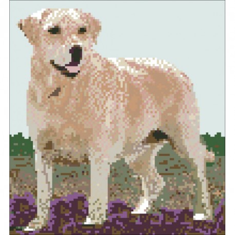 Borduurpakket Golden Retriever 25x23cm