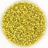 Miyuki delica 11/0 duracoat galvanized zest 5gr