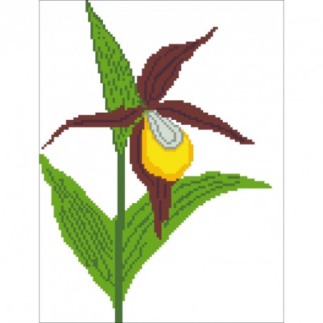 Borduurpakket Cypripedium calceolus 29x22cm