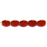 Glaskraal 3x5mm beukenoot kerstrood100st.