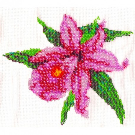 Borduurpakket Sobralia 17x20cm