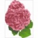 Borduurpakket Hortensia rose 24x18cm.