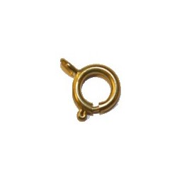 Veerringsluiting 12mm double