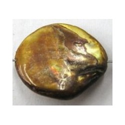 Schelpkraal 15-20mm goudbruin 5st