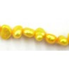 Zoeterwaterparels ca 4mm goudgeel 90cm.