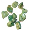 Schelpkraal kleine stukjes groen 25st