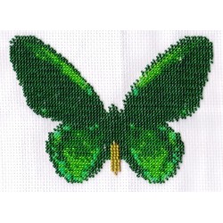 Borduurpakket vlinder groen/zwart 11x16cm