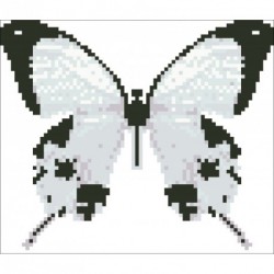 Borduurpakket vlinder wit/zwart 15x17cm