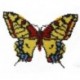 Borduurpakket vlinder geel/bruin/blauw 11x15cm