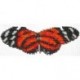 Borduurpakket vlinder oranje/zwart 7x19cm