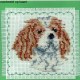 Borduurpakket King Charles Spaniel 10x10cm