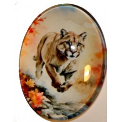 Cabochon 30x40mm Dieren