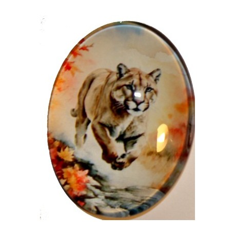 Cabochon 30x40mm Dieren