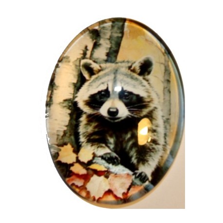 Cabochon 30x40mm Dieren