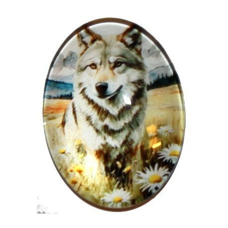 Cabochon 30x40mm Dieren