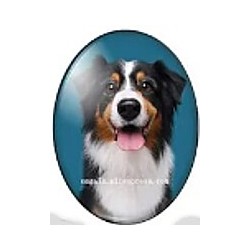 cabochon 30x40mm honden foto's