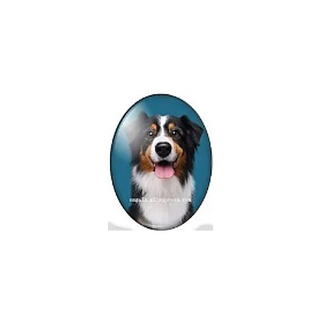 cabochon 30x40mm honden foto's