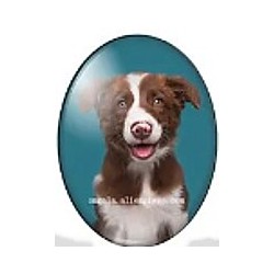 cabochon 30x40mm honden foto's