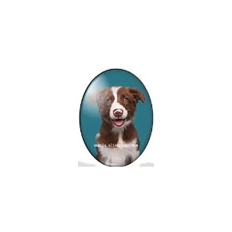 cabochon 30x40mm honden foto's