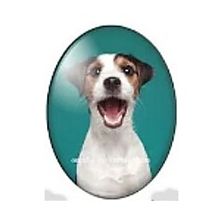 cabochon 30x40mm honden foto's