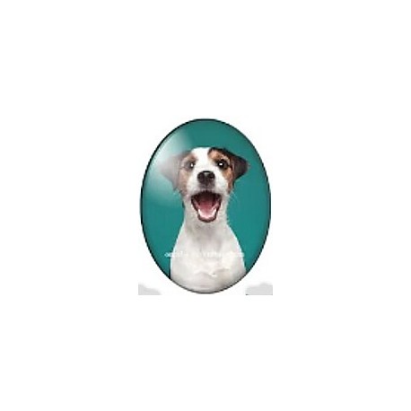 cabochon 30x40mm honden foto's