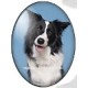 cabochon 30x40mm honden foto's