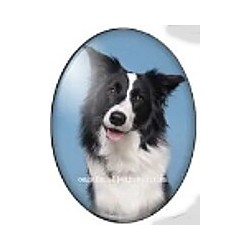 cabochon 30x40mm honden foto's